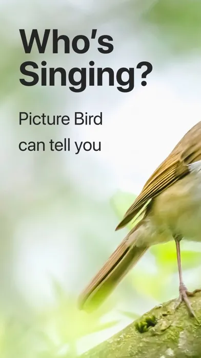 Zrzuty ekranu Picture Bird: Birds identifier
