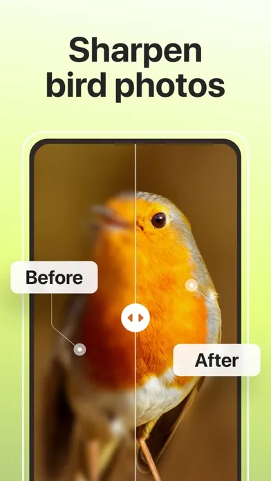 Zrzuty ekranu Picture Bird: Birds identifier
