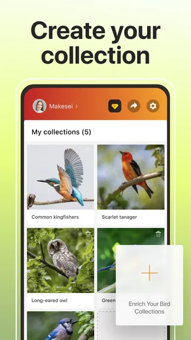 Zrzuty ekranu Picture Bird: Birds identifier