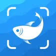 Picture Fish - Fish Identifier
