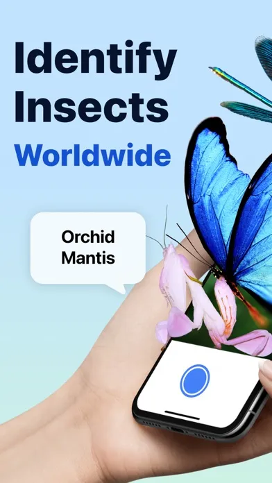 Picture Insect: Bug Identifier Screenshots