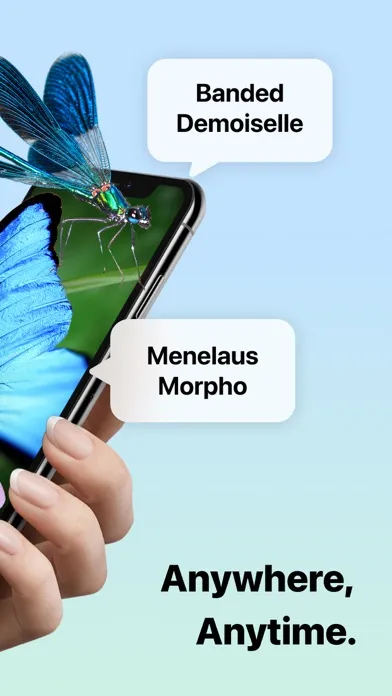 Picture Insect: Bug Identifier Screenshots