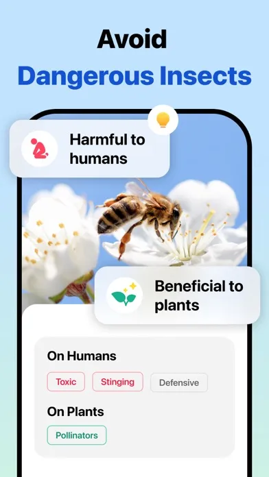 Picture Insect: Bug Identifier Screenshots