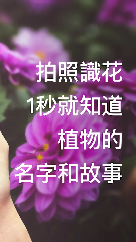 形色应用截图