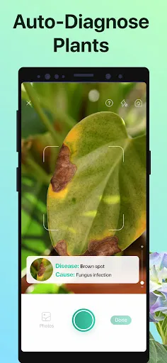 PictureThis - Plant Identifier スクリーンショット