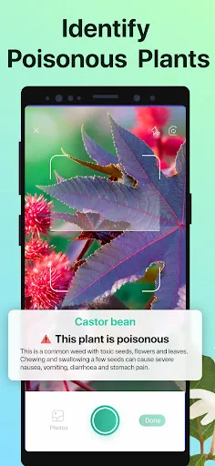 PictureThis - Plant Identifier スクリーンショット