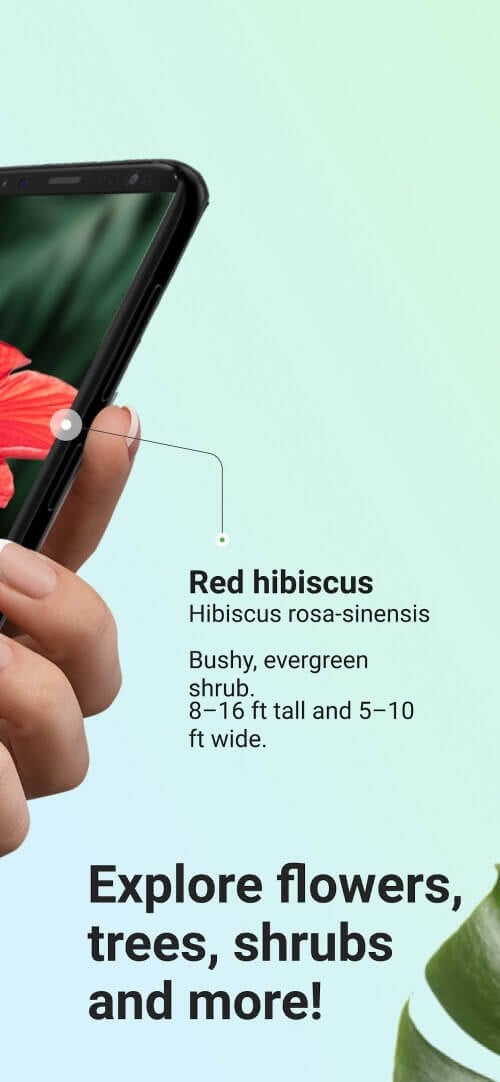 PictureThis - Plant Identifier-screenshot-2
