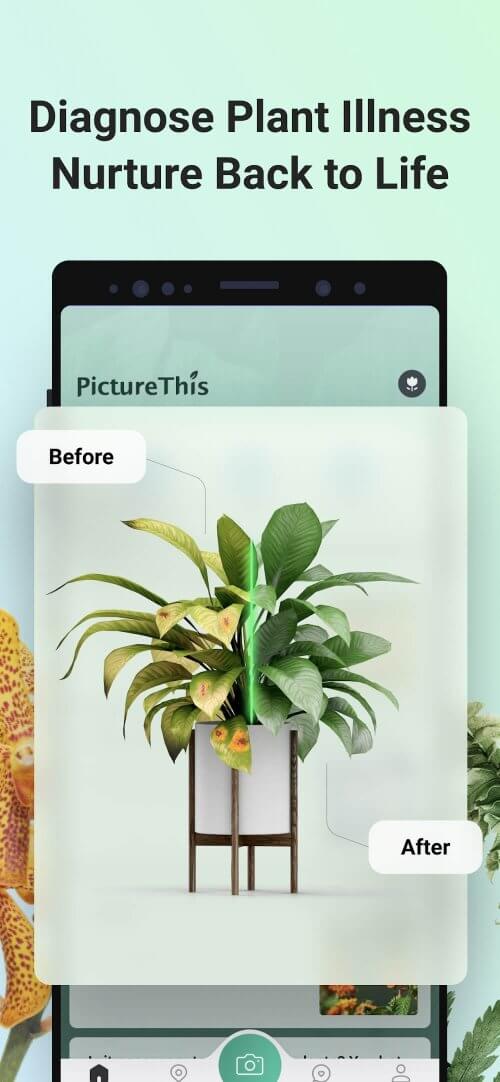 PictureThis - Plant Identifier-screenshot-4