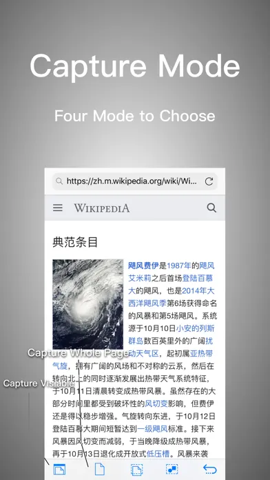 Webshot應用截圖