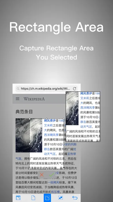 Webshot應用截圖