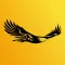 Eagle Scan
