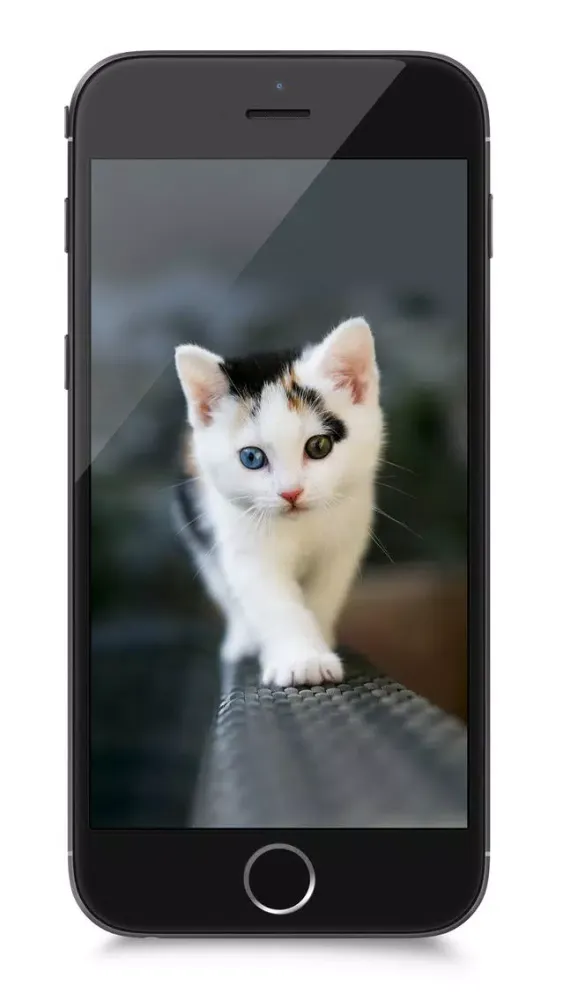 80,000+ Wallpapers for iOS 8 and iPhone 6/iPhone 6 Plus應用截圖