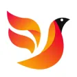 火鸟门户 火鸟门户