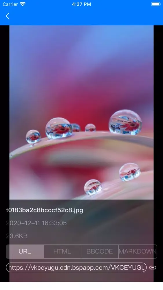 صور 视频图床
