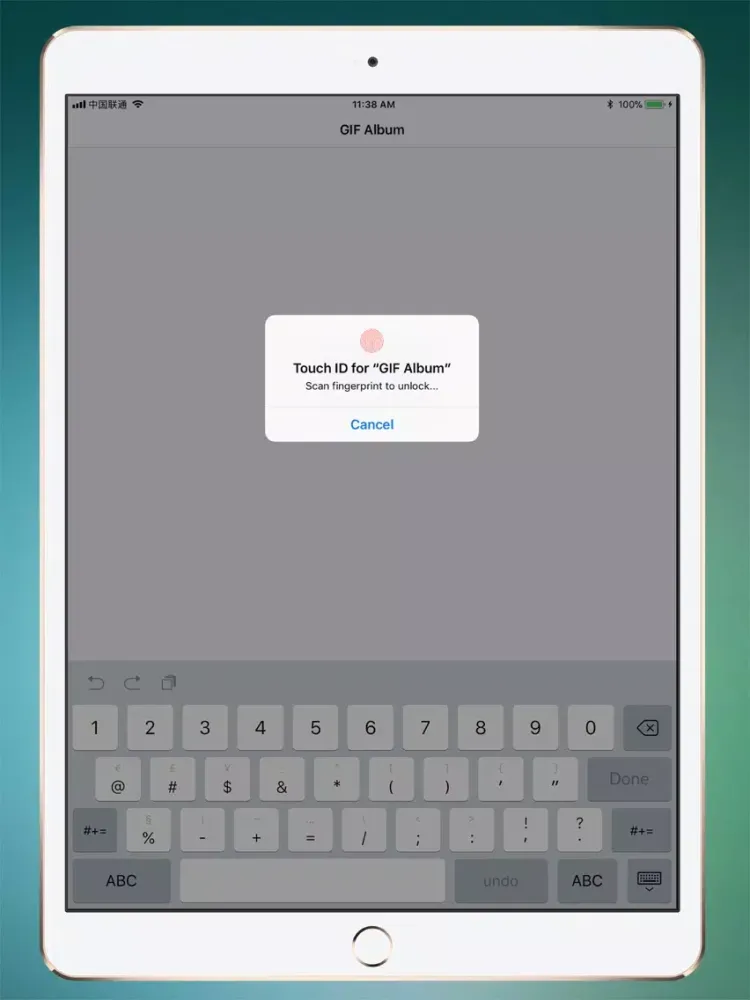 تصاویر iAlbum - Private Photo Album iPad 