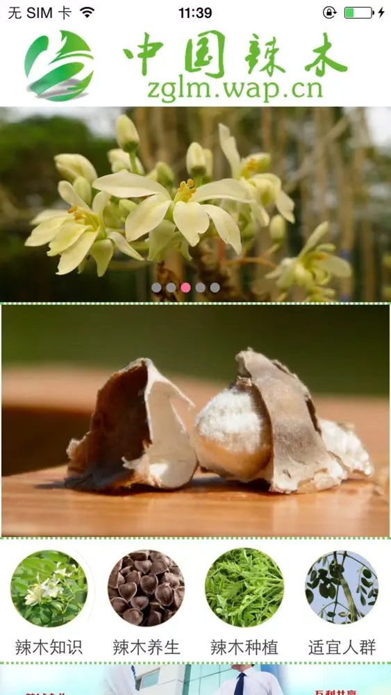 辣木信息网 Ekran Görüntüleri