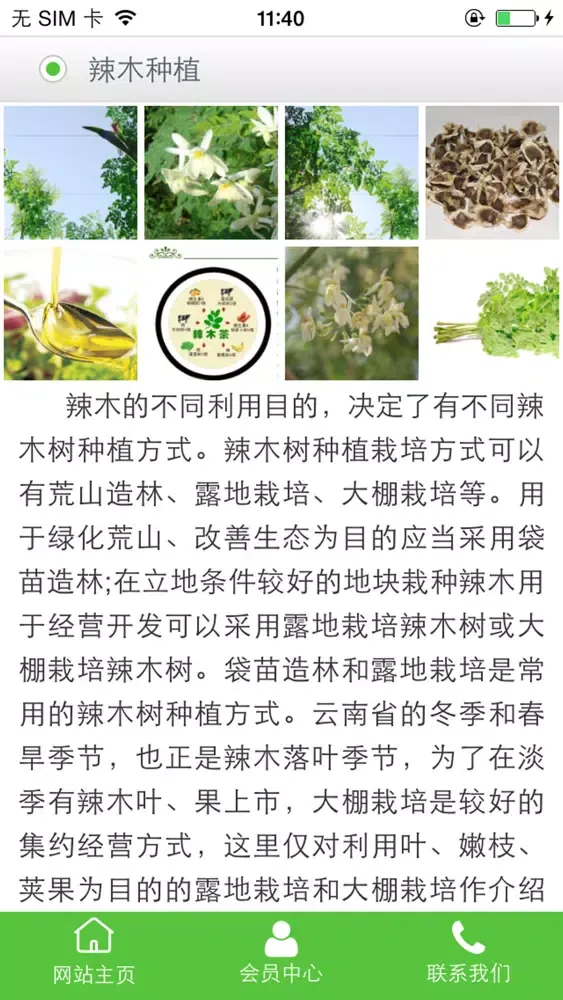 辣木信息网 Ekran Görüntüleri