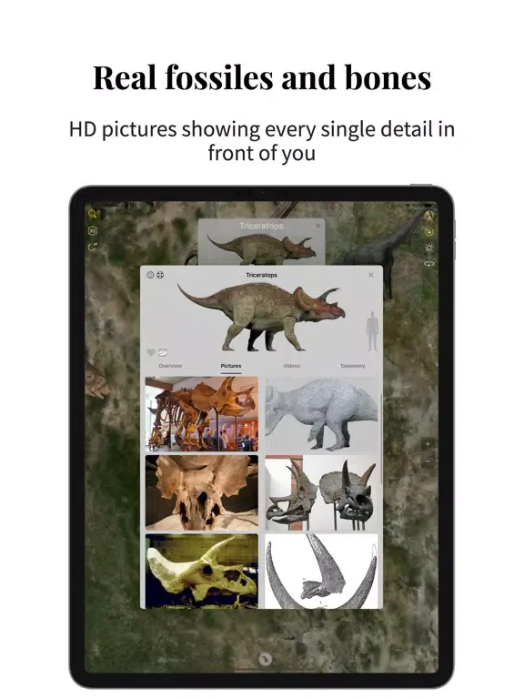 Captures d'écran de Dino Planet-my jurassic world iPad 