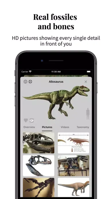Captures d'écran de Dino Planet-my jurassic world