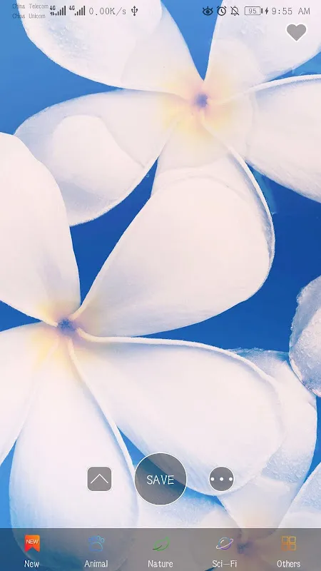 Ảnh chụp màn hình của 4KHD Wallpaper