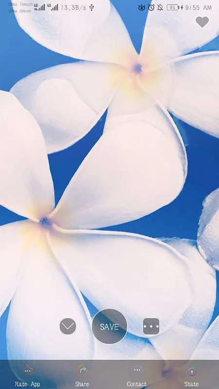 Ảnh chụp màn hình của 4KHD Wallpaper