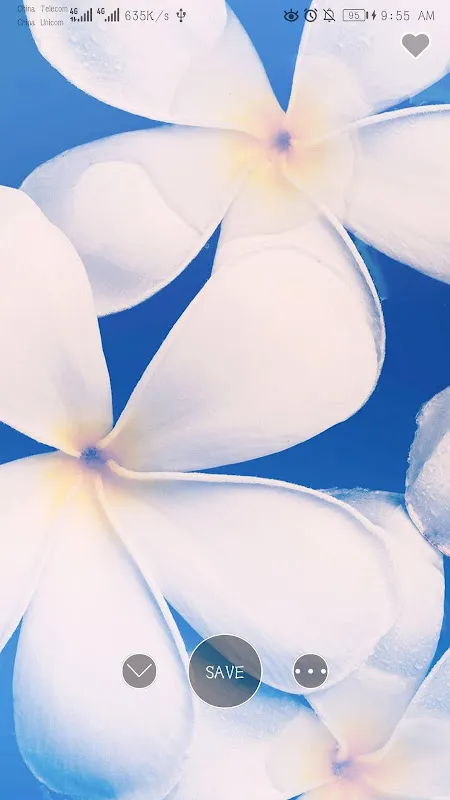 Ảnh chụp màn hình của 4KHD Wallpaper