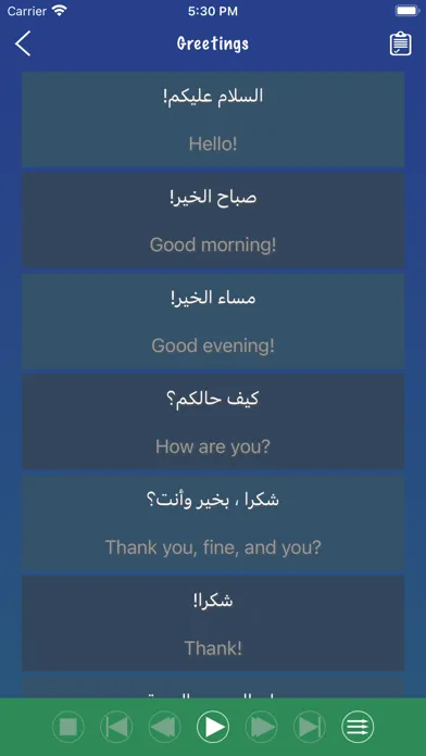 Arabic Phrase Book Learn 스크린샷