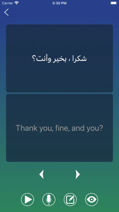 Arabic Phrase Book Learn 스크린샷