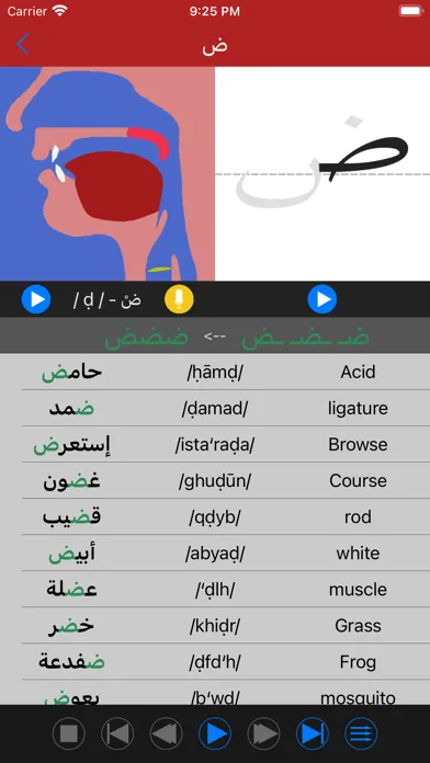 Arabic Sounds and Letter Spell Ekran Görüntüleri