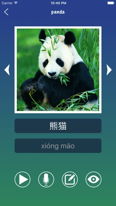 Chinese Word Flashcards Easy スクリーンショット