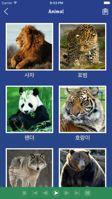Скриншоты Korean Word Flashcards Learn