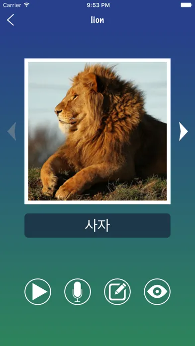 Скриншоты Korean Word Flashcards Learn