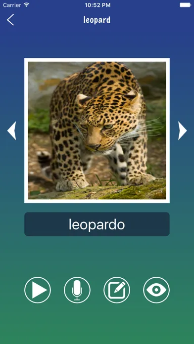 تصاویر Portuguese Word Flashcard Easy