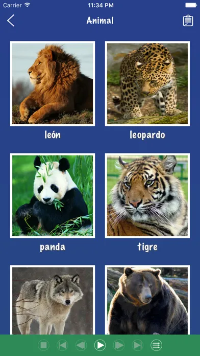 Ảnh chụp màn hình của Spanish Word: Basic Vocabulary