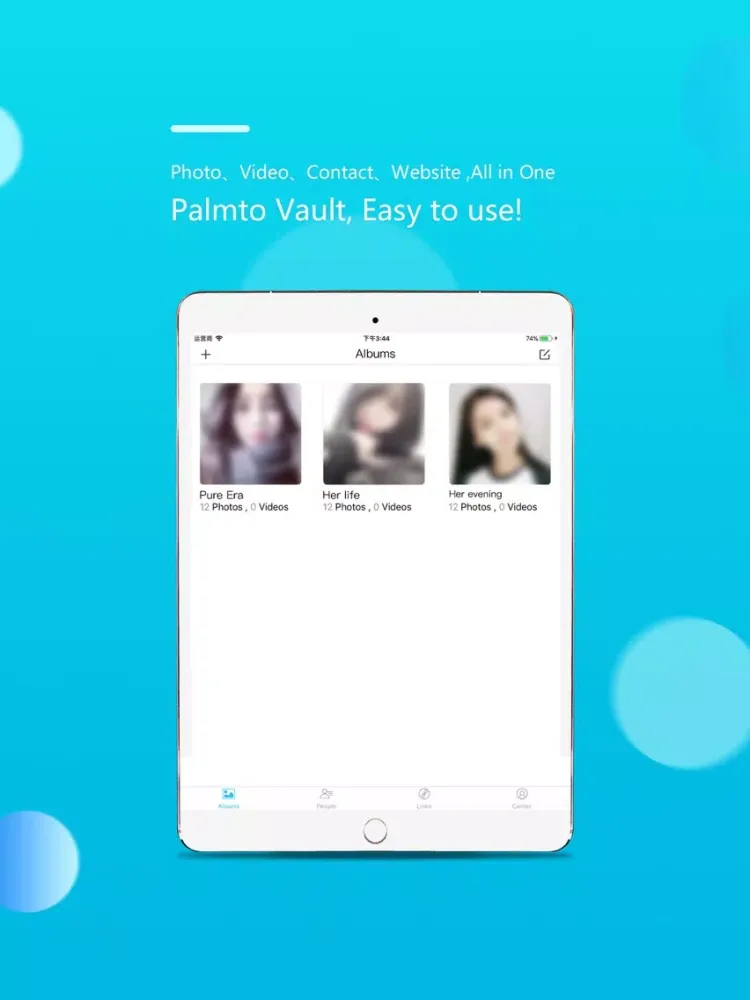 Palmto Vault Premium iPad  스크린샷