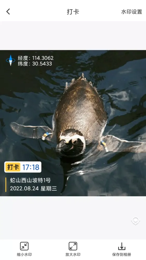 打卡定位应用截图