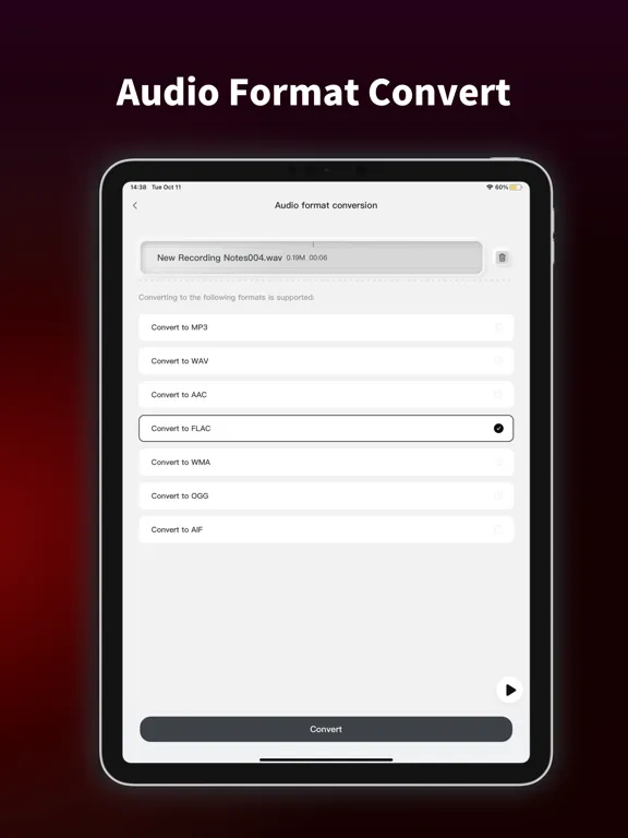 Audio Recorder: Speech to Text iPad  Screenshots
