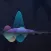 db检测仪
