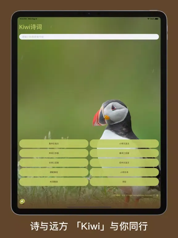 صور Kiwi诗词 - 唐诗、宋词、诗经、文言文｜轻量掌中诗库 iPad 