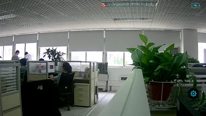 StreamVis スクリーンショット