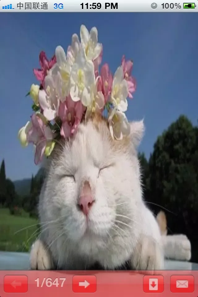 Captures d'écran de Uncle Cat