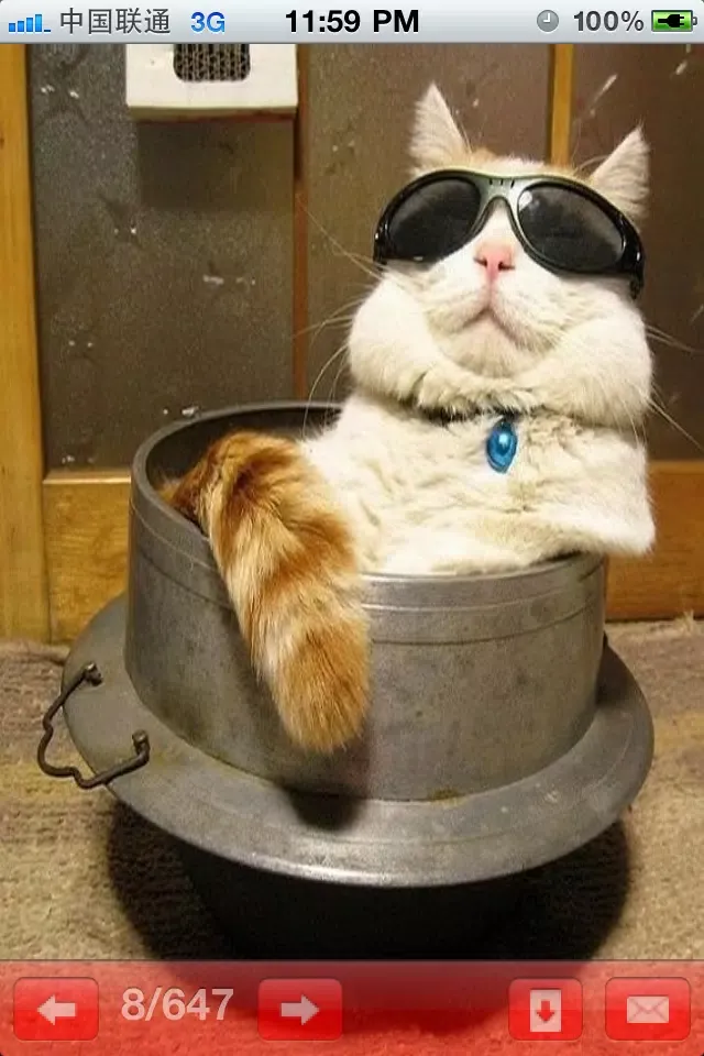 Captures d'écran de Uncle Cat