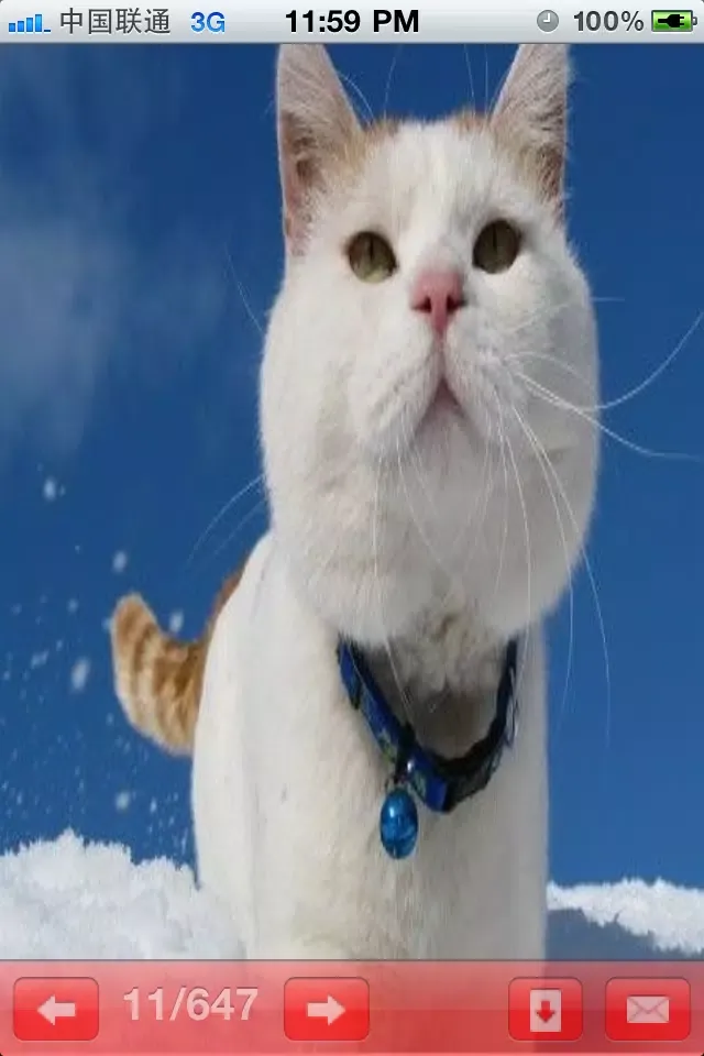 Captures d'écran de Uncle Cat