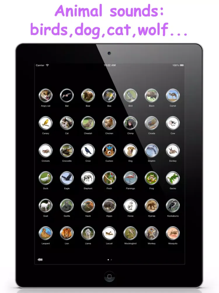 Скриншоты 500+ Ultra Sound Box iPad 