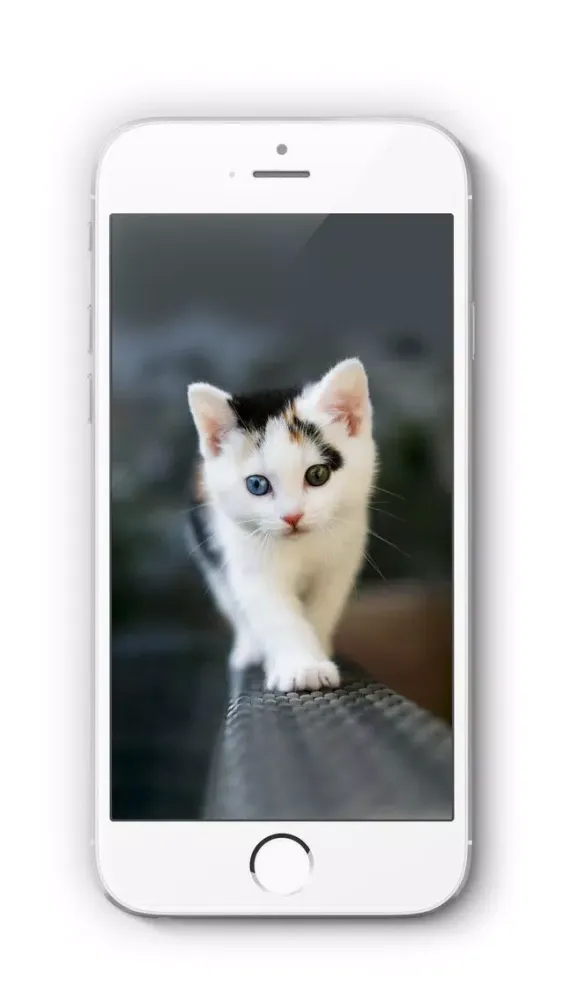 Ảnh chụp màn hình của Wallpapers for iOS 8, iPhone 6/Plus
