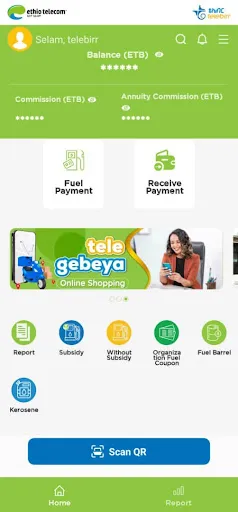 Tangkapan skrin telebirr partner