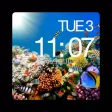 Watch BG - Wallpapers & Backgrounds for Watch