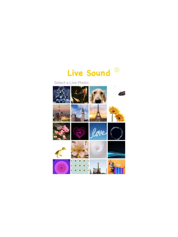 Ảnh chụp màn hình của Live Sound Pro - Sound Editor for Live Photos iPad 