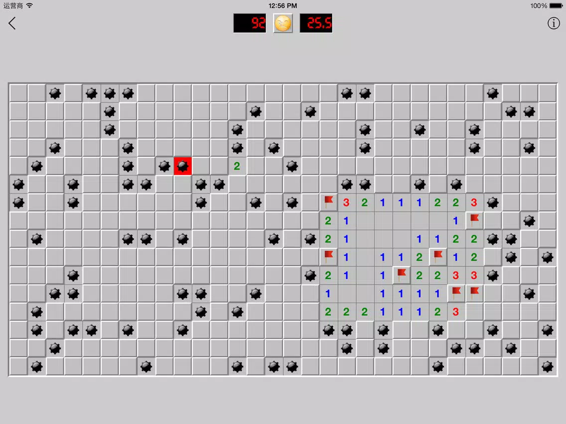 MineSweeper Ultimate iPad  Screenshots