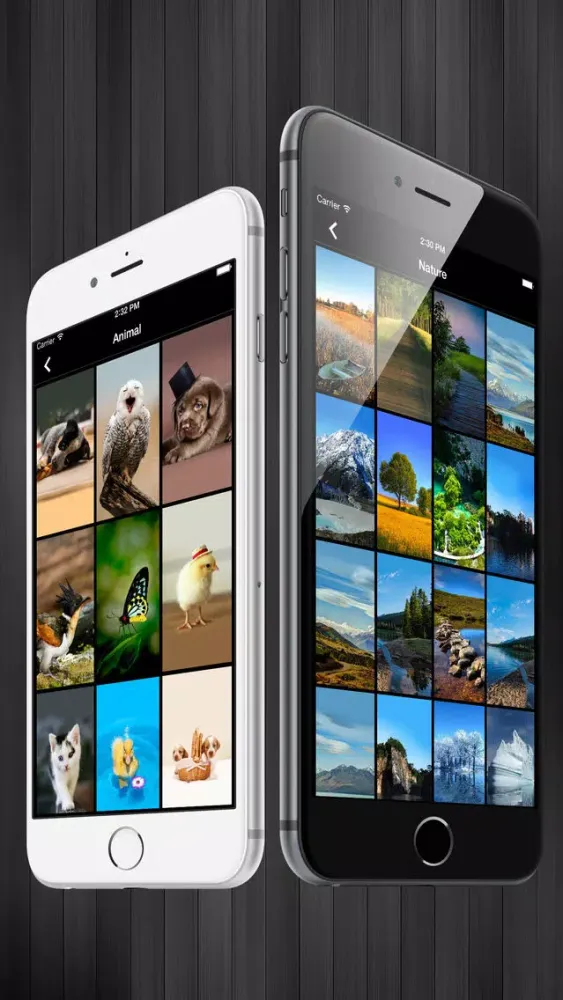 Wallpapers for iPhone 6s/Plus應用截圖
